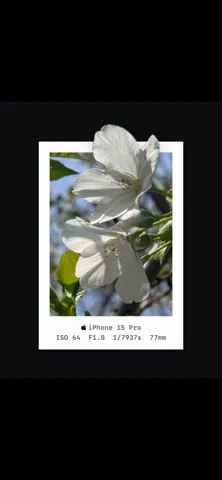 iOutBox-AutoStereo 3 screenshot